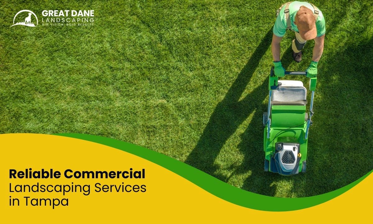 Business front enhanced by affordable lawn maintenance team