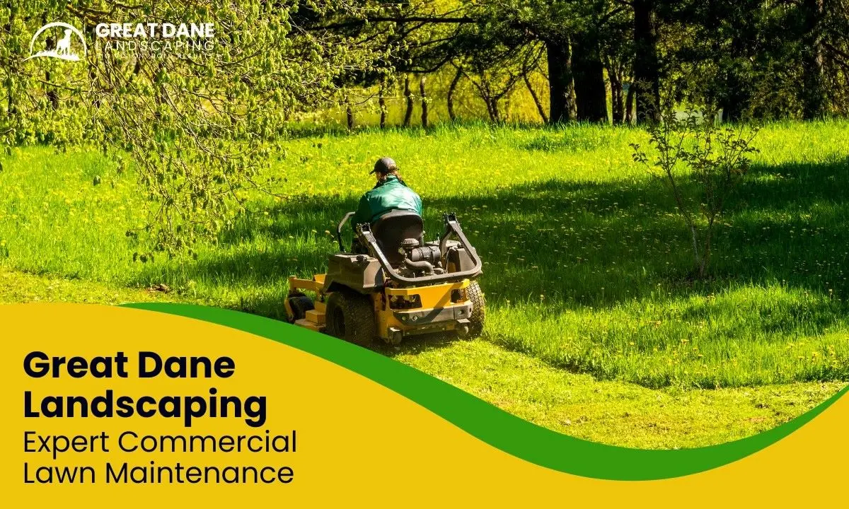 Residential landscape contractor showcasing front yard design