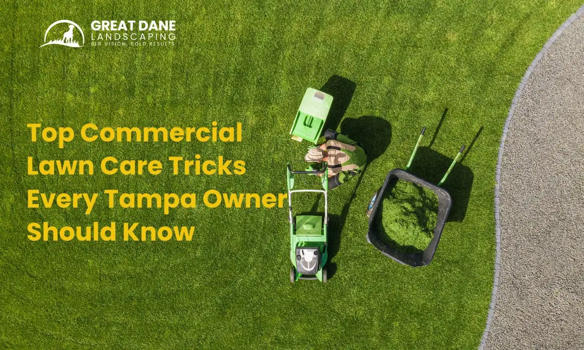Top Commercial Lawn Care Tricks Every Tampa Owner Should Know