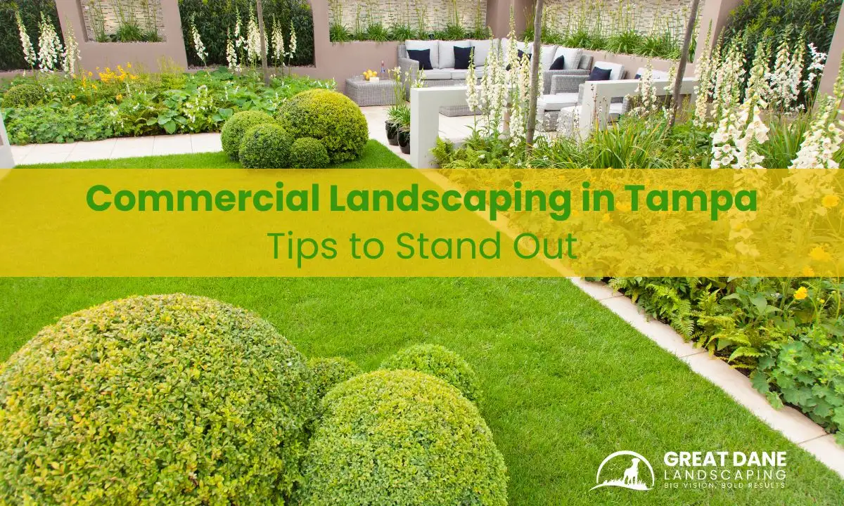 Tips to Stand Out