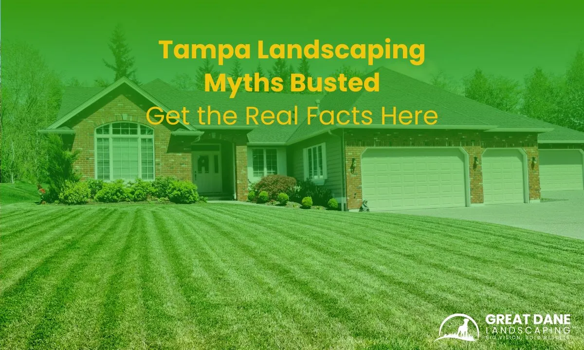 Tampa Landscaping Myths Busted