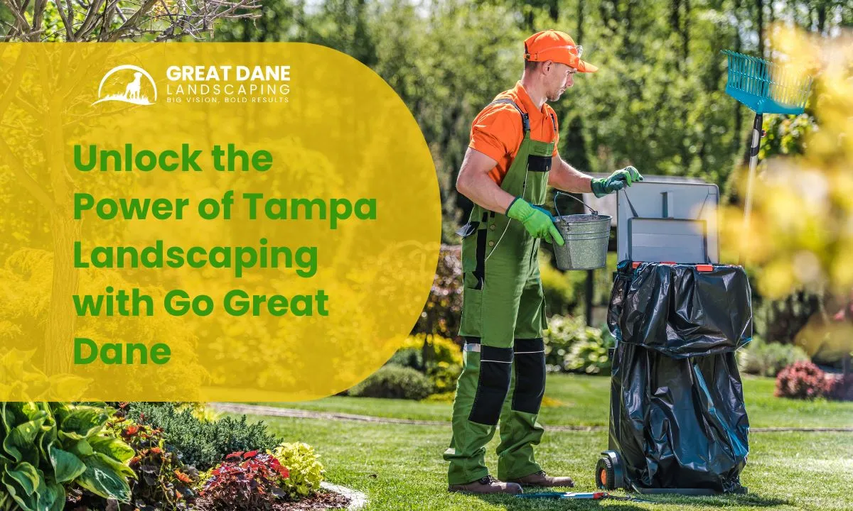 Tampa’s Top Lawn Maintenance Tips