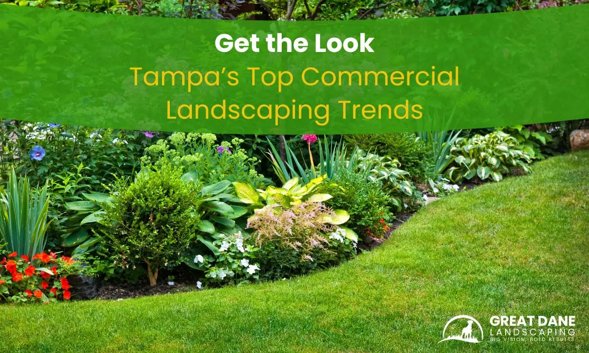 Tampa’s Top Commercial Landscaping Trends