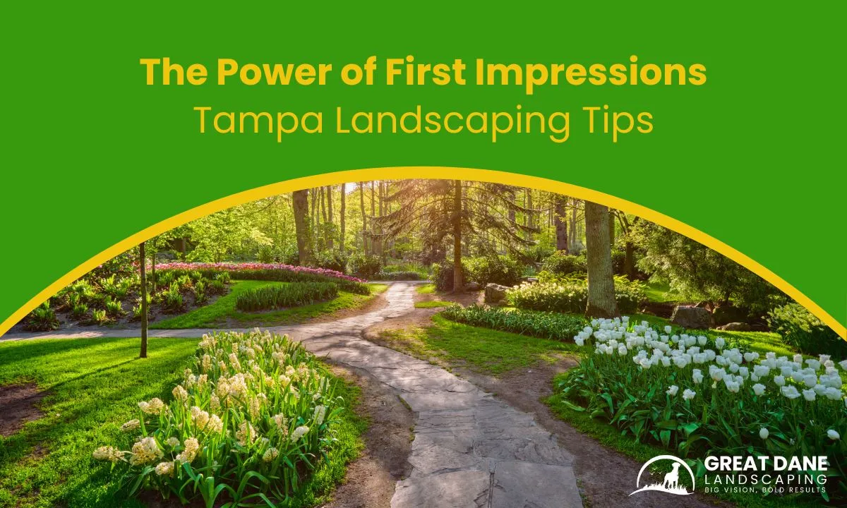 Tampa Landscaping Tips