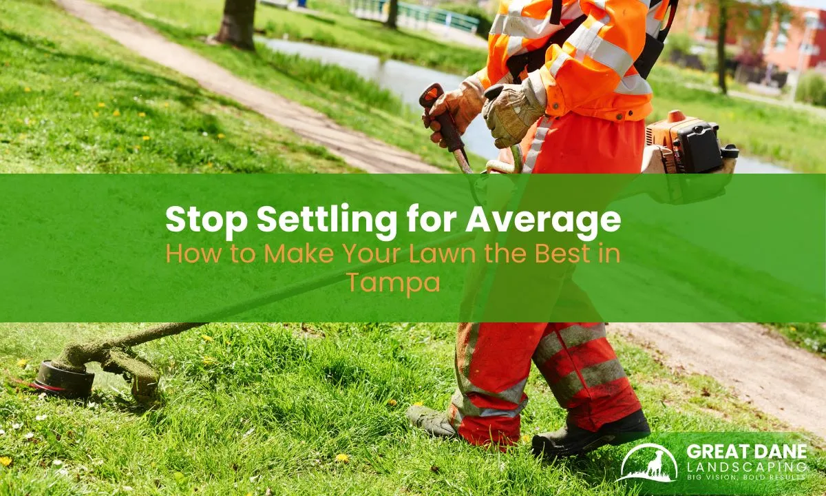 How to Make Your Lawn the Best in Tampa