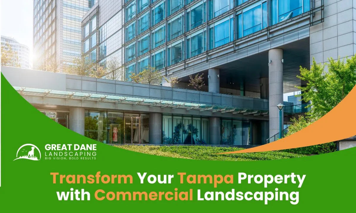 Transform Your Tampa Property with Commercial Landscaping