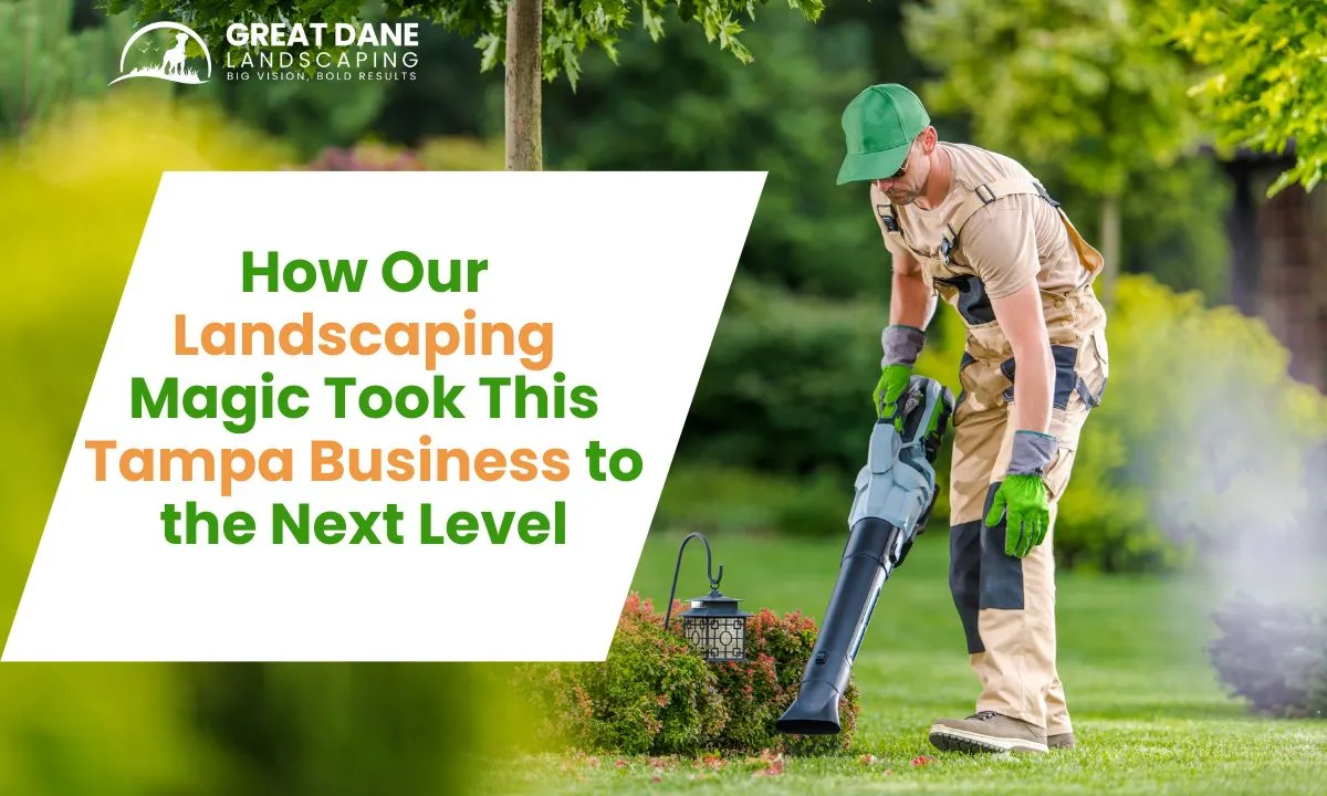 How Our Landscaping Magic Took This Tampa Business to the Next Level