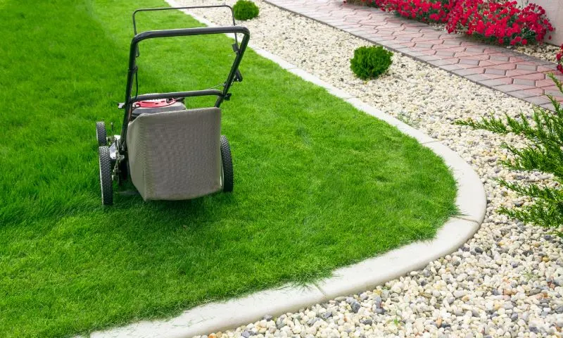 A Day in the Life of a Tampa Lawn
