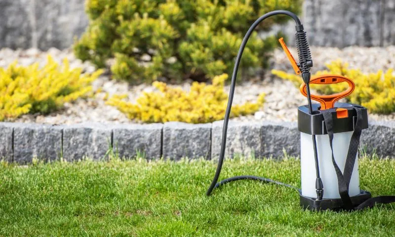 The Science Behind Commercial Lawn Care in Tampa