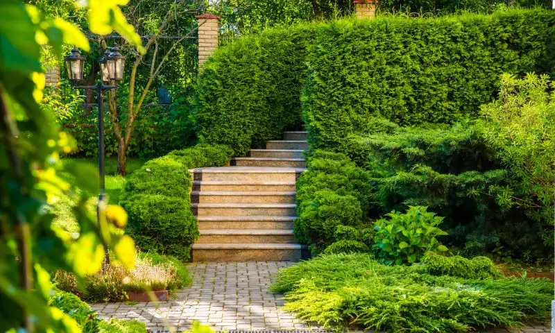 Unlock the Power of Tampa Landscaping with Go Great Dane