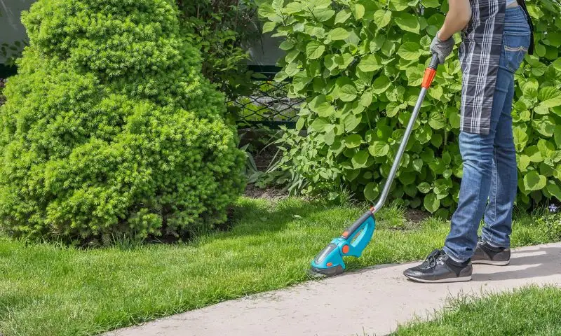 Measuring Success and Continuous Improvement