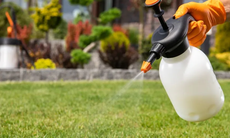 Actionable Tips for Long-Term Lawn Vitality