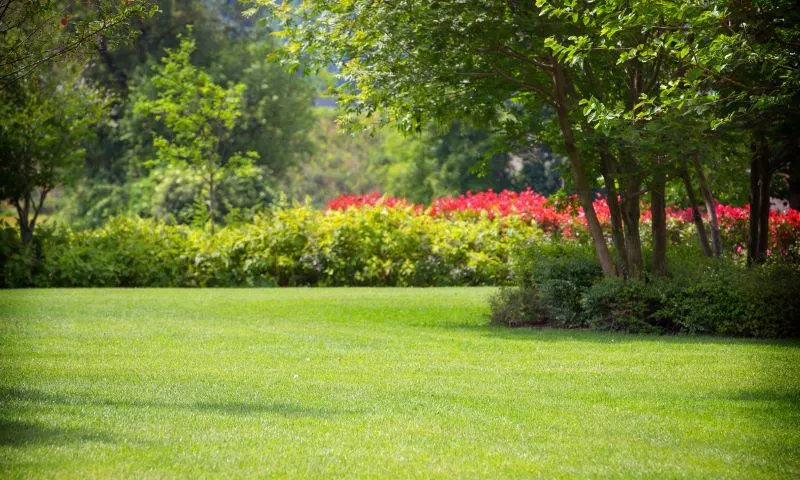 Challenges, Solutions, and the Final Outcome