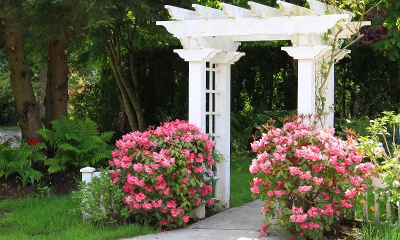 A Tampa Transformation Story