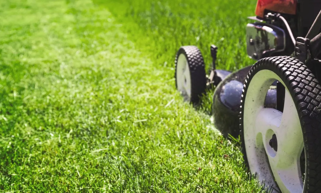 Expert Lawn Care Strategies for Commercial Properties in Tampa