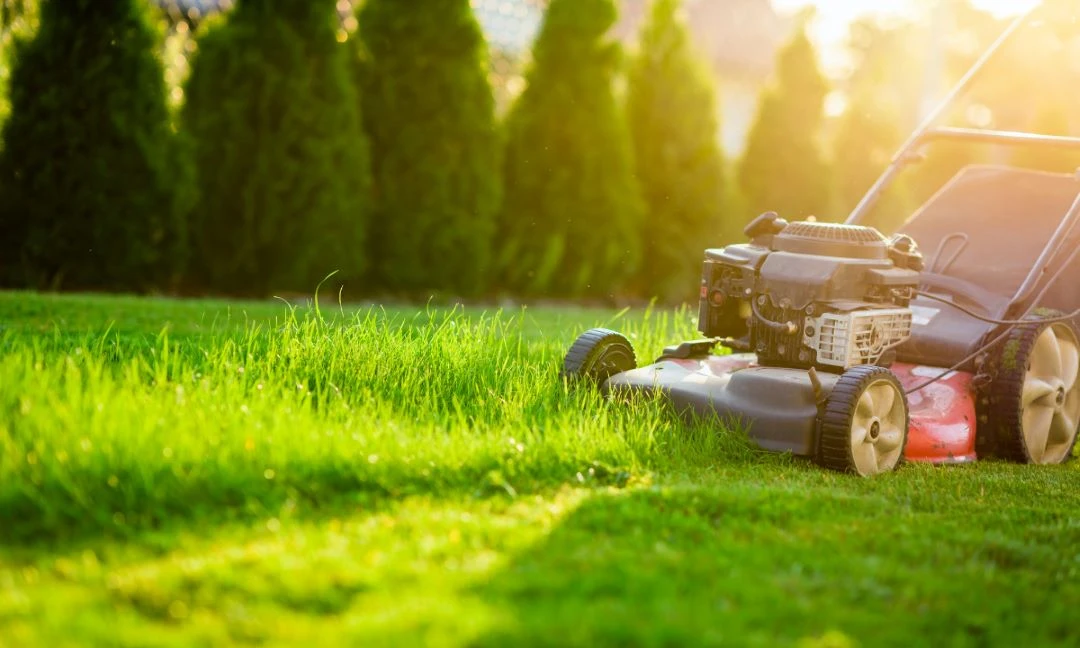 Real-World Case Studies and Expert Insights