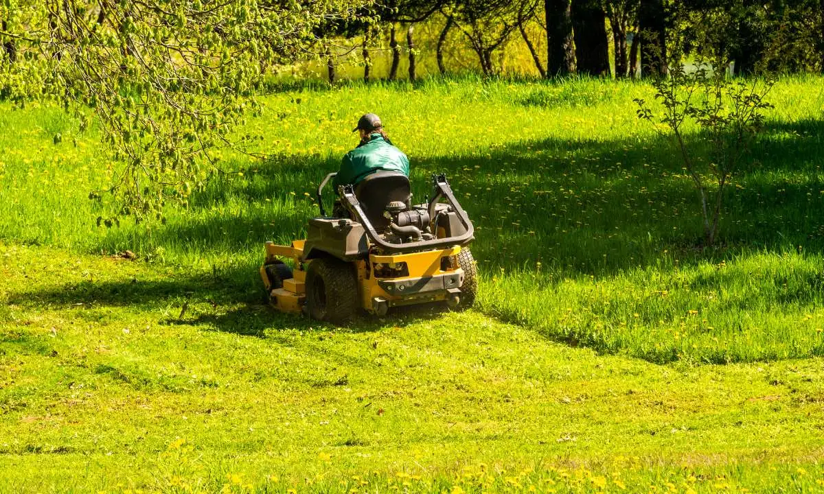 Actionable Strategies for Maintaining a Pristine Commercial Landscape