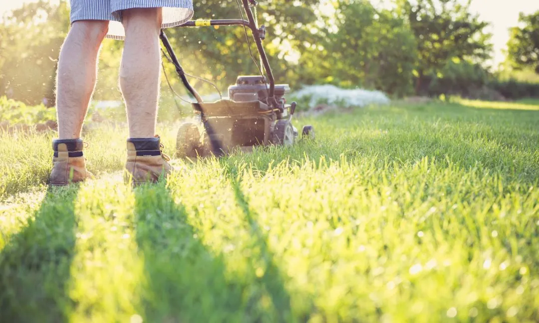 Implementing Cost-Effective Solutions for Commercial Lawn Maintenance