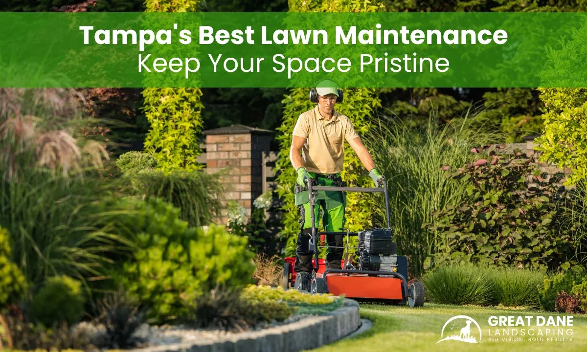 Keep Your Space Pristine