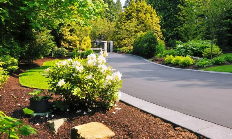 The Tampa Business Center Makeover