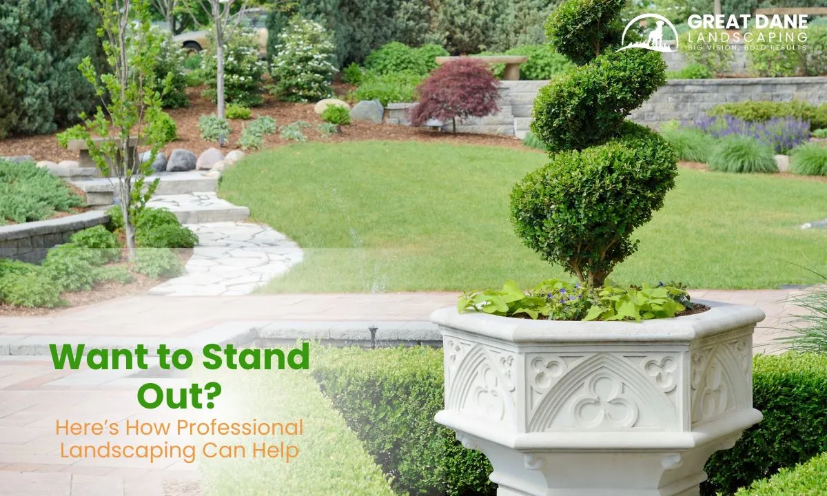 Here’s How Professional Landscaping Can Help