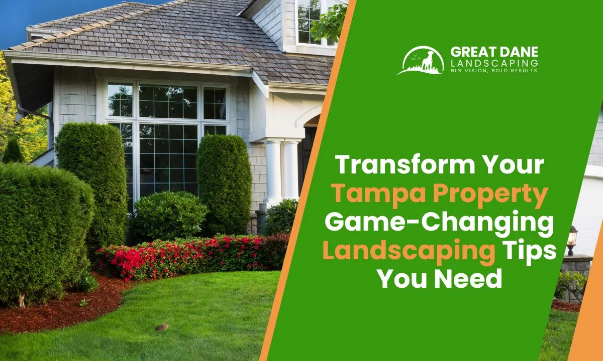 Transform Your Tampa Property Game-Changing Landscaping Tips You Need