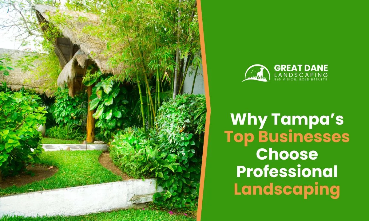Why Tampa’s Top Businesses Choose Professional Landscaping