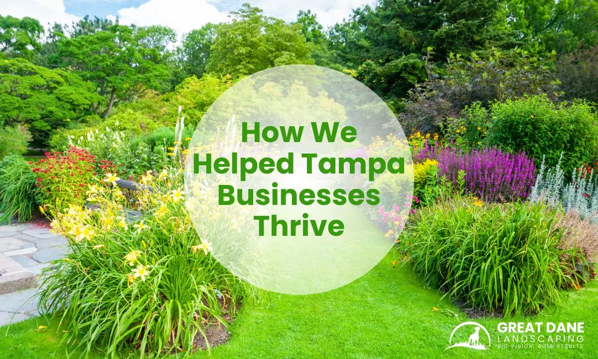 How We Helped Tampa Businesses Thrive