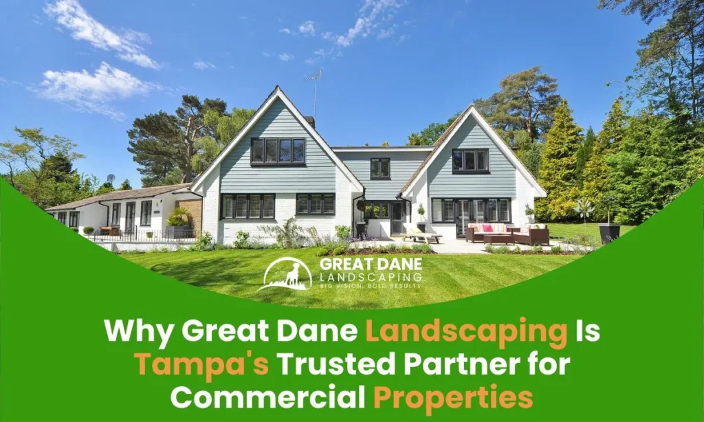 Why Great Dane Landscaping Is Tampa’s Trusted Partner for Commercial Properties