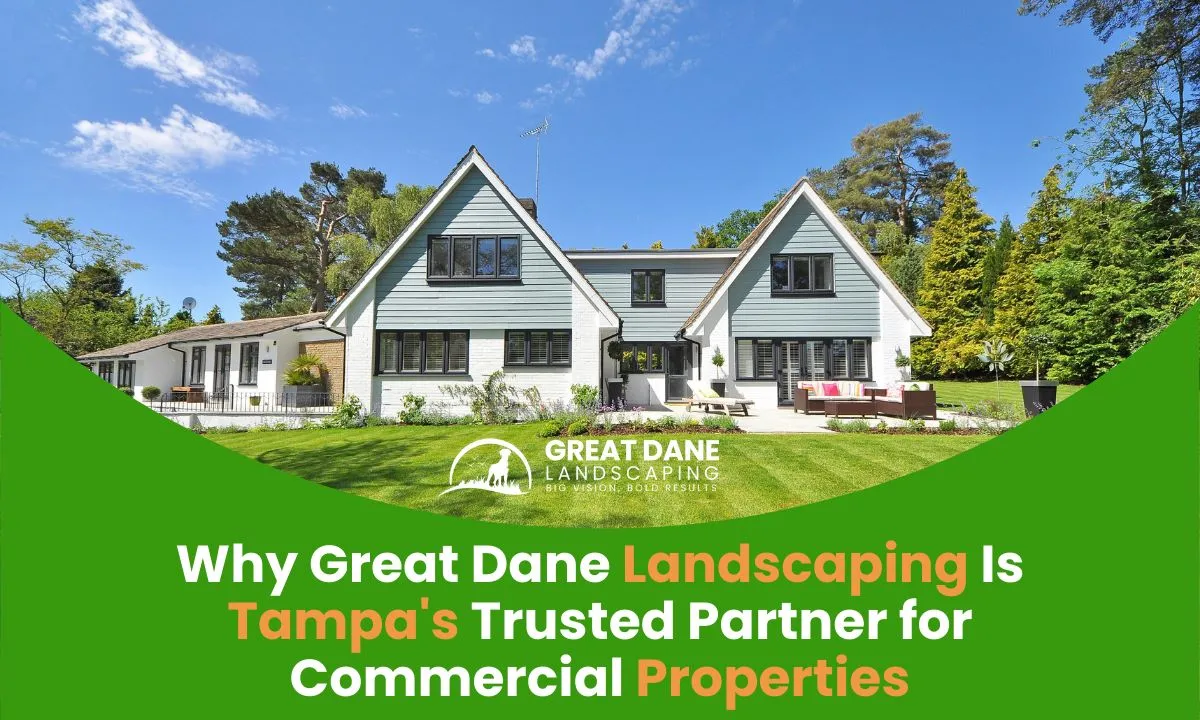Why Great Dane Landscaping Is Tampa’s Trusted Partner for Commercial Properties