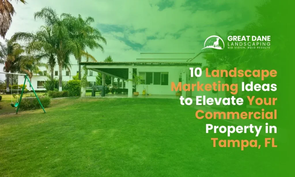 10 Landscape Marketing Ideas to Elevate Your Commercial Property in Tampa, FL