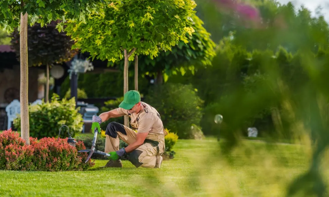 How Go Great Dane Delivers Exceptional Commercial Landscaping Services