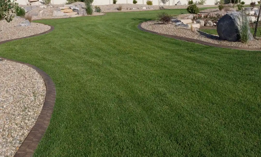 Why Professional Landscaping Matters in Tampa