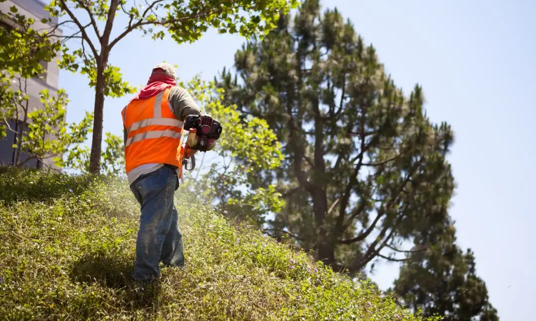 Your Partner in Premier Tampa Commercial Landscaping
