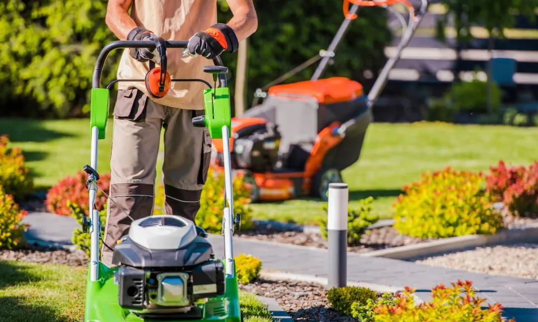 How Go Great Dane Stands Out in Commercial Landscaping Services