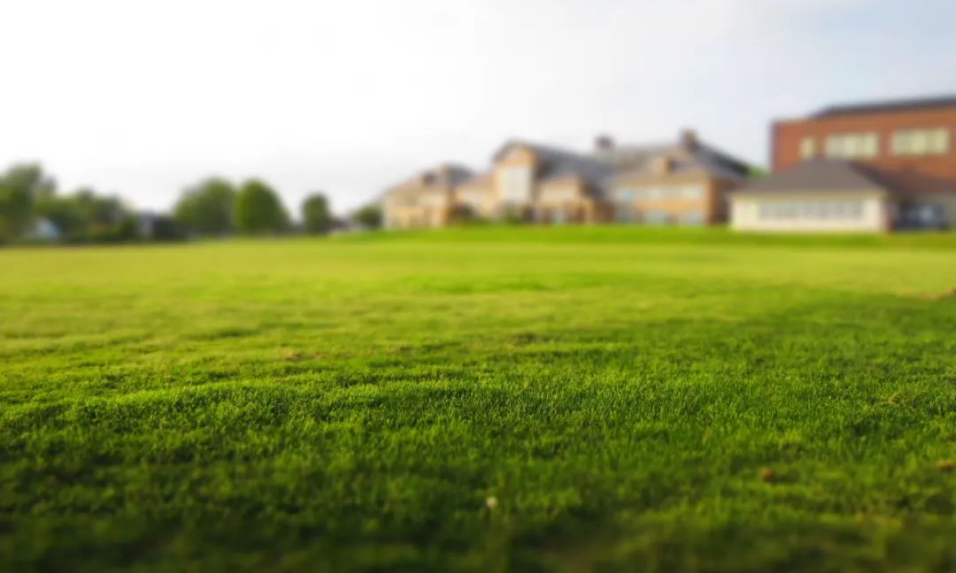 Results That Speak Volumes