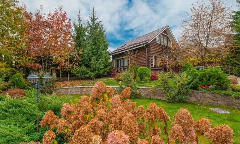 Key Elements of Eco-Friendly Commercial Landscaping in Tampa