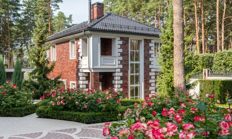 Taking the Next Step with Great Dane Tampa