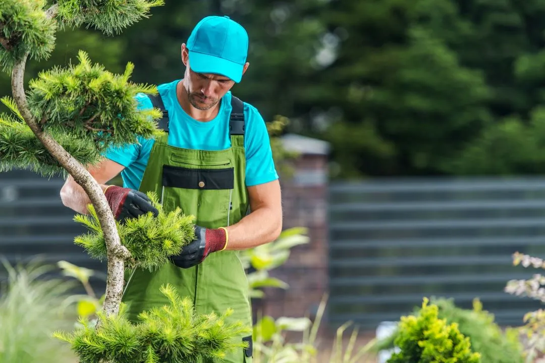 Lawn care maintenance companies providing routine garden work
