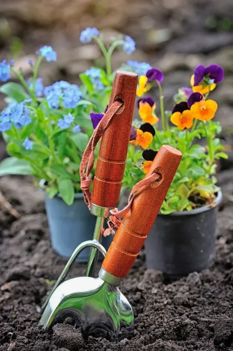 Spring garden by environmentally friendly lawn care company